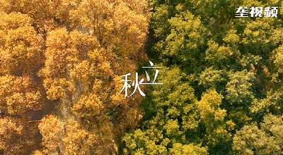 立秋 | 在时光中沉淀，自在时光里成熟