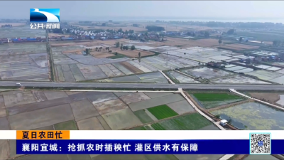 襄阳宜城：抢抓农时插秧忙 灌区供水有保障