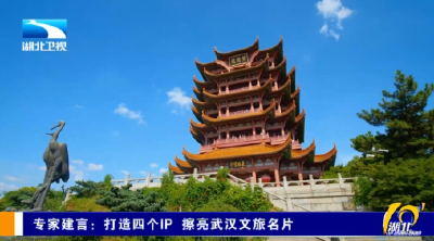 专家建言：打造四个IP 擦亮武汉文旅名片