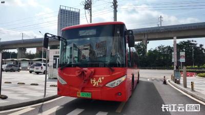 520浪漫加倍！新人们搭乘公交婚车，共赴集体颁证仪式