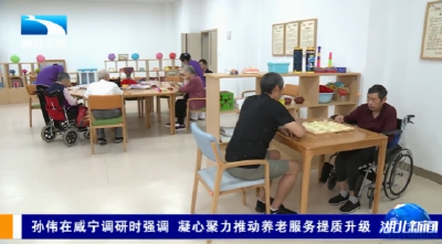 孙伟在咸宁调研时强调    凝心聚力推动养老服务提质升级