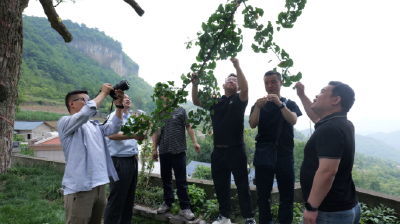 湖北首单！珍稀动植物保险启动理赔