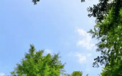 高温被“叫停”！夏日最舒适的天气来了？
