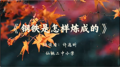 仙桃市-仙桃二中小学-《钢铁是怎样炼成的》-许逸昕