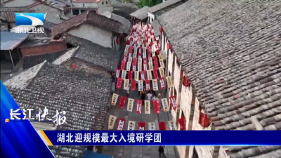 湖北迎今年规模最大入境研学团