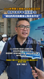 ​纽卡斯尔大学东南亚校区校长黄茂凌：武汉的热干面和知音号让我念念不忘