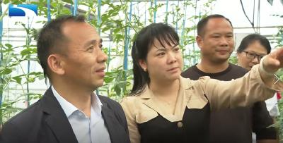 黄冈浠水：女大学生返乡 打造特色富民产业