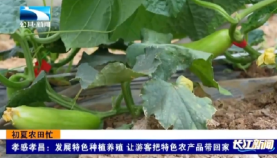 孝感孝昌：发展特色种植养殖  让游客把特色农产品带回家