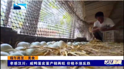 孝感汉川：咸鸭蛋皮蛋产销两旺 价格不涨反跌