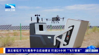 湖北省低空飞行服务平台启动建设 打造24小时“飞行管家”