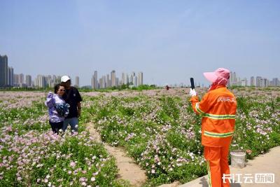城管环卫“跨界”服务 摄影师还是导游 市民游客说了算
