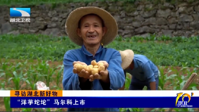 寻访湖北新好物 | “洋芋坨坨”马尔科上市