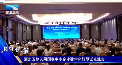 湖北五地入围国家中小企业数字化转型试点城市