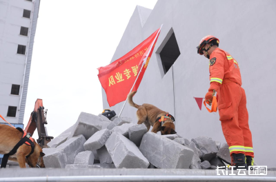 湖北各地开展消防宣传活动迎接全国防灾减灾日