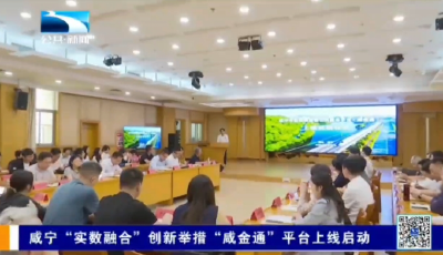 咸宁：“实数融合”再提速  “咸金通”平台上线启动 