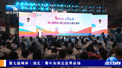 第七届两岸（湖北）青年东湖交流季启动