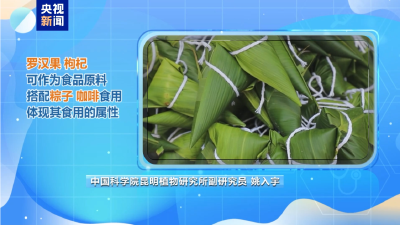 “食品＋中药”能不能搭配着吃？医生建议遵循“三因制宜”原则