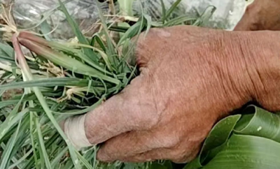 致敬劳动者丨用18张海报告诉你，这是谁的手