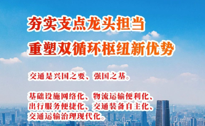 夯实支点龙头担当，重塑双循环枢纽新优势
