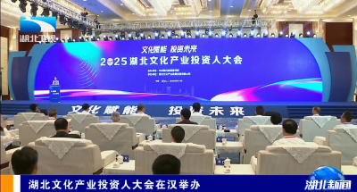 湖北文化产业投资人大会在汉举办