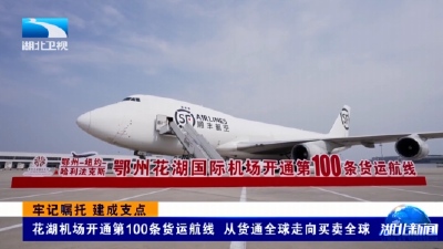 牢记嘱托 建成支点 | 花湖机场开通第100条货运航线 从货通全球走向买卖全球