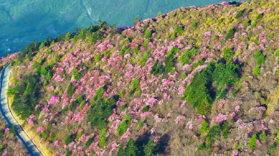 神武峡线路亮相广州国际旅游展览会，“神农三峡记”产品惊艳出圈