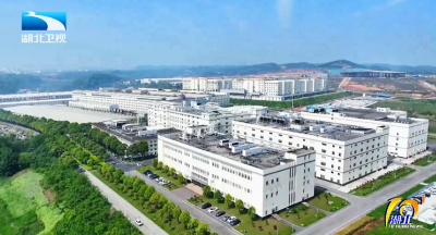 2025年5月14日湖北十分
