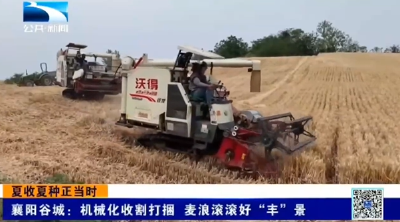 襄阳谷城：机械化收割打捆  麦浪滚滚好“丰”景