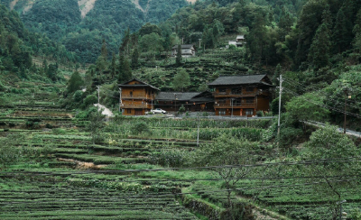 国家级试点！湖北两地入选文化产业赋能乡村振兴试点名单