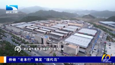 供销“老本行”焕发“现代范”