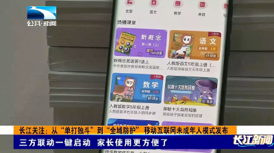 长江关注：从“单打独斗”到“全域防护” 移动互联网未成年人模式发布