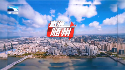 直通随州 | 随州打造文化IP邀您寻根
