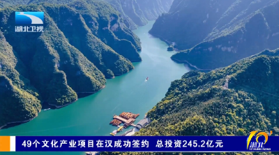 49个文化产业项目在汉成功签约 总投资245.2亿元