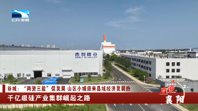 襄阳谷城：千亿级硅产业集群崛起之路