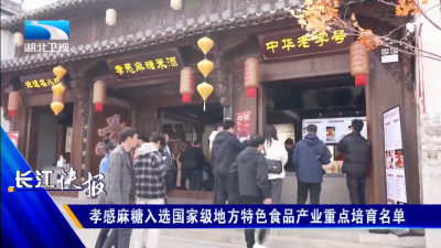 孝感麻糖入选国家级地方特色食品产业重点培育名单