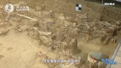 这里是郧县人的厨房吗？陆成秋带你探秘百万年前的人间烟火！