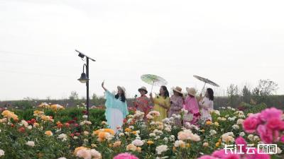 “五一”赏花品虾正当时 快来拆封湖北宜城的初夏来信