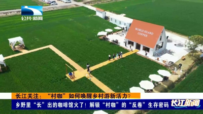 长江关注：“村咖”如何唤醒乡村游新活力？