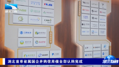 湖北首单省属国企并购信用债全部认购完成