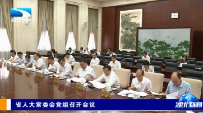 省人大常委会党组召开会议