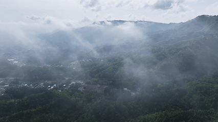 比常规避暑地低2℃！记者实测利川秘境佛宝山