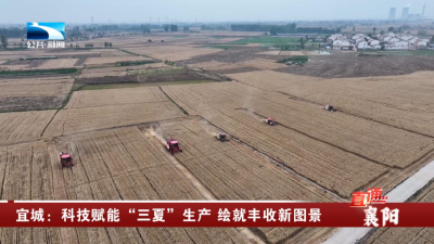 襄阳宜城：科技赋能“三夏”生产 绘就丰收新图景