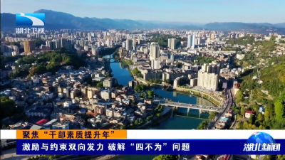 聚焦“干部素质提升年”｜激励与约束双向发力 破解“四不为”问题