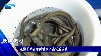 花湖机场首单鲜活水产品试航成功