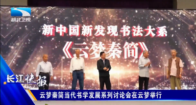云梦秦简当代书学发展系列讨论会在云梦举行