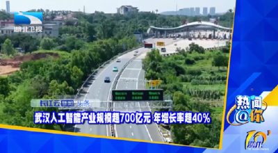 武汉人工智能产业规模超700亿元 年增长率超40%