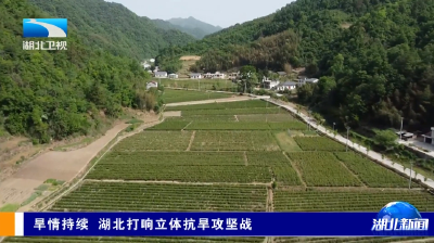 旱情持续 湖北打响立体抗旱攻坚战