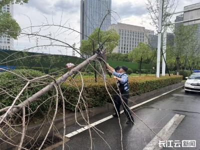 暴雨夜树枝倒伏阻断交通 民警辅警徒手清障保畅通