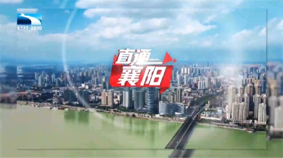 直通襄阳 | 大力实施“两资三能”工程 襄阳各地实现政企双向奔赴
