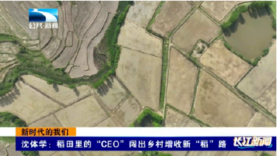 新时代的我们丨沈体学：稻田里的“CEO”闯出乡村增收新“稻”路